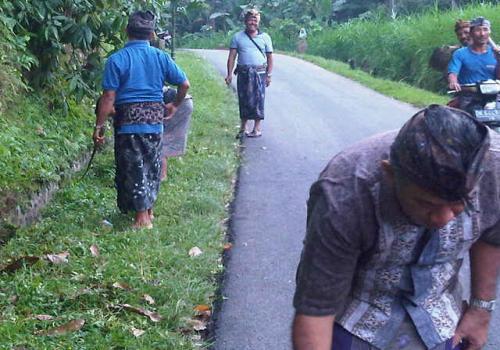 Gerbangdesigot Di Desa Yang Api, Tembuku, Bangli